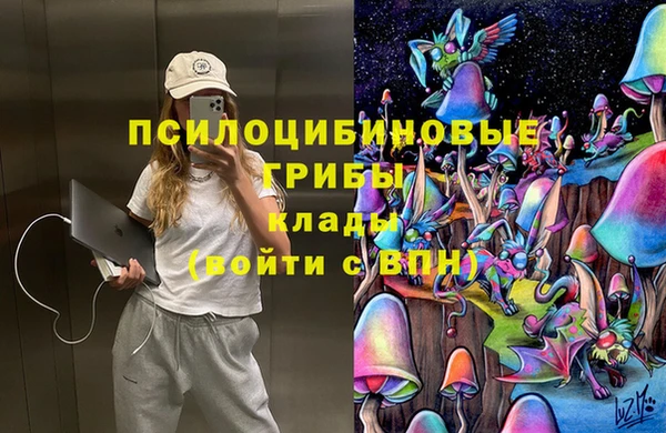 дурь Аркадак