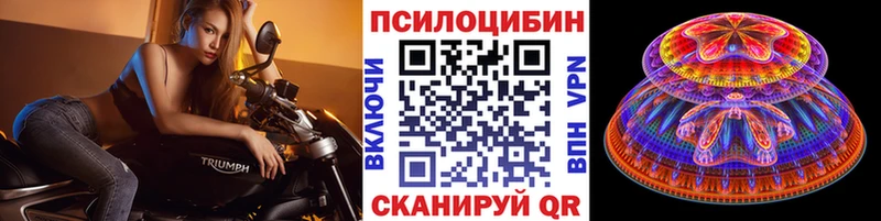Псилоцибиновые грибы Psilocybine cubensis  Нововоронеж 